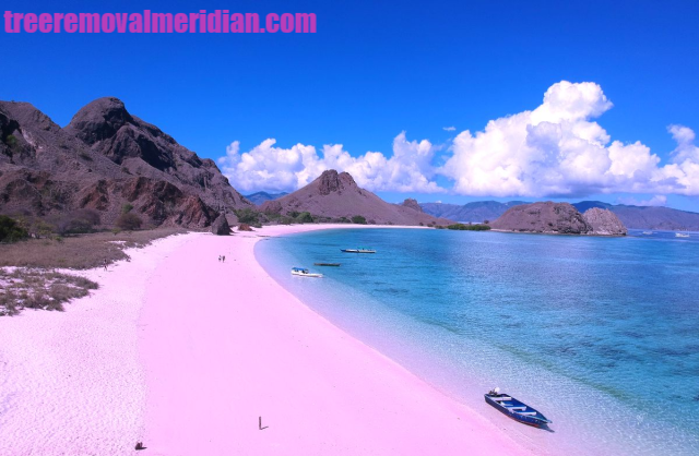 Hidden Gems Indonesia Timur, Pantai Pink yang Masih Jarang Dijamah Wisatawan